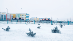 зима в Лесковке